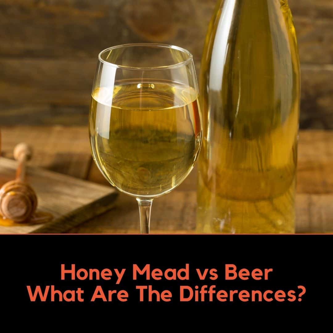 Honey Mead vs Beer
