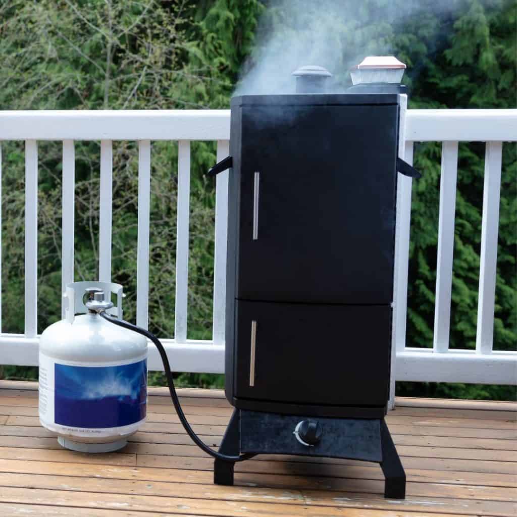 Vertical Gas Smoker using Flavored Wood Chips
