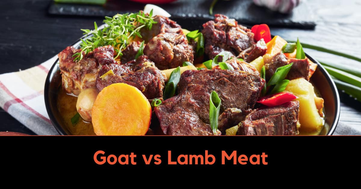 Goat vs Lamb Meat