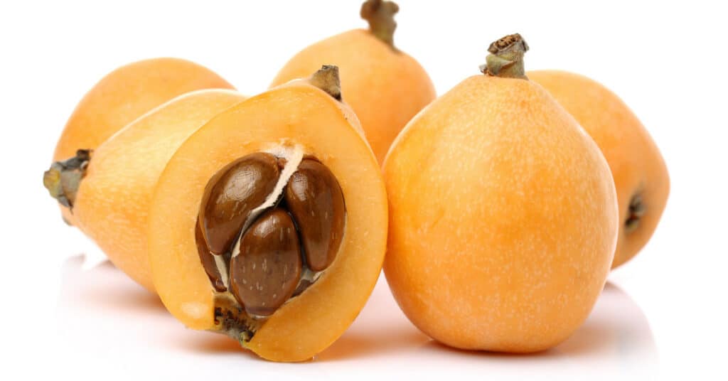 Loquats vs kumquats
