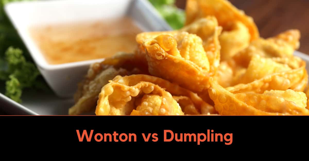 wonton vs dumpling