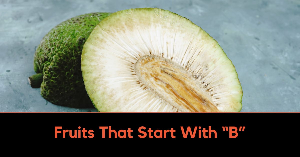 Fruits That Start With B Breadfruit Image