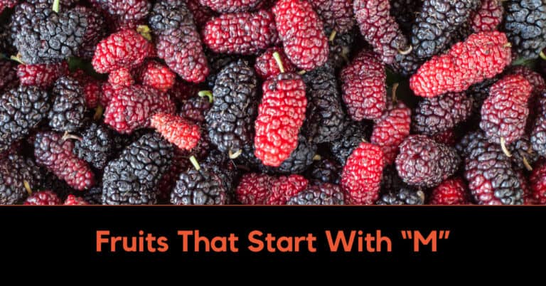 Fruits That Start With M