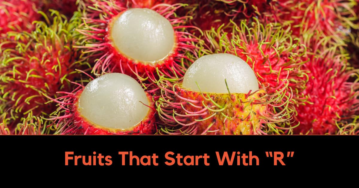 Fruits That Start With R like this exotic fruit Rambutan