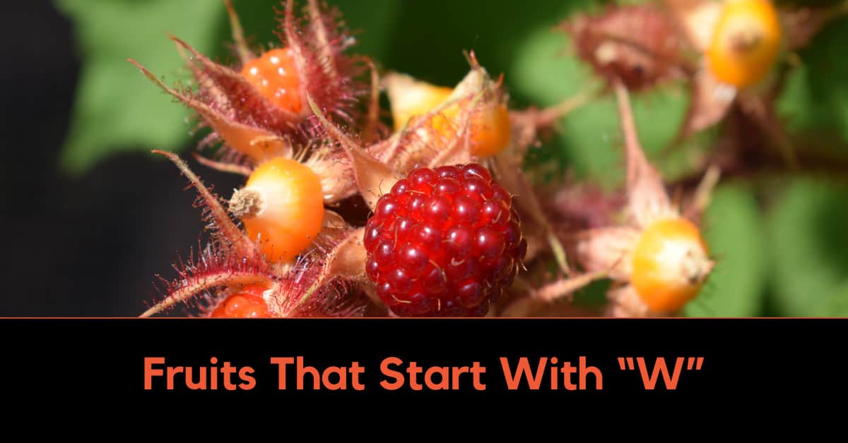 Fruits That Start With W