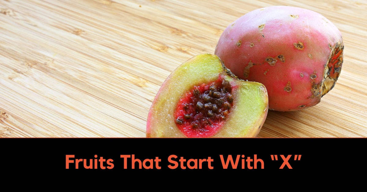 Fruits That Start With X